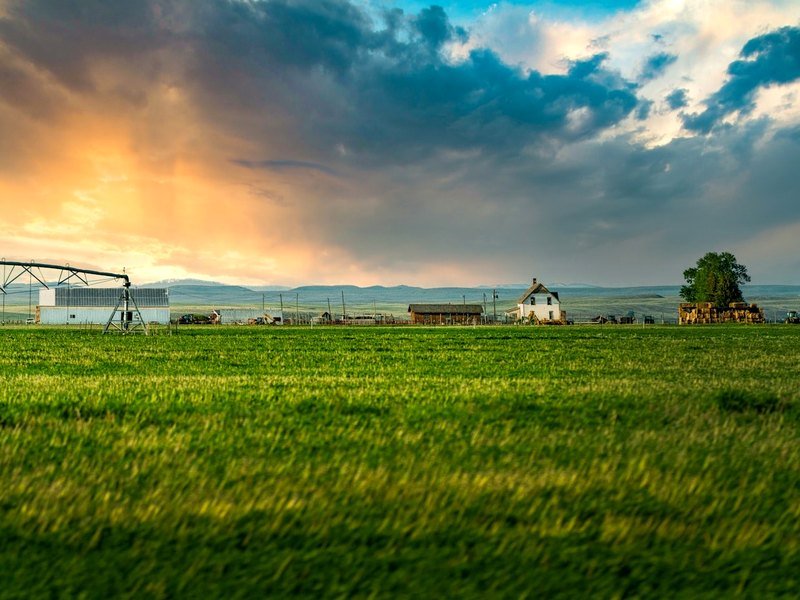 Irrigated farmland at golden hour